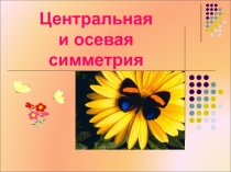 Презентация Осевая и центральная симметрия (9 класс)
