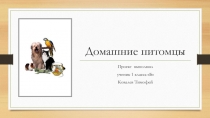 Домашние питомцы
