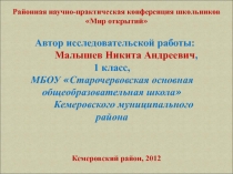 Презентация к проектной исследовательской работе по теме Эволюция автомобиля на разных этапах развития общества