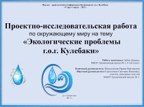 Экологические проблемы г. о. г. Кулебаки