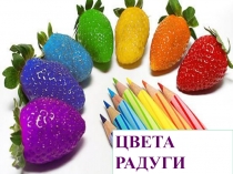 Презентация Цветная Радуга правил