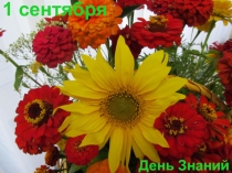 Иллюстрация к занятию о Нижнекамске