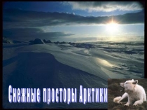 Презентация по окружающему миру Снежные просторы Арктики (4 класс)