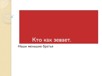 Кто как зевает. Релаксация.