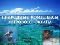 Природные комплексы Мирового океана. Презентация по географии. 6 класс