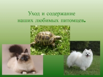 Презентация по окружающему миру на тему: Уход и содержание наших любимых питомцев.