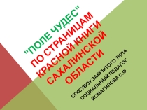 Презентация игры типа Поле чудес на тему По страницам Красной книги Сахалинской области