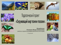 Педагогический проект Окружающий мир твоими глазами. (5-6 кл)