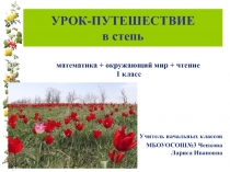 Презентация к уроку путешествие в степь. Интегрированный урок Математика + окружающий мир + чтение