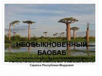 Презентация по окружающему миру Необыкновенный баобаб(2 класс)