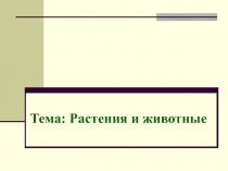 Презентация к уроку Растения и животные, 1 класс (Школа 2100)