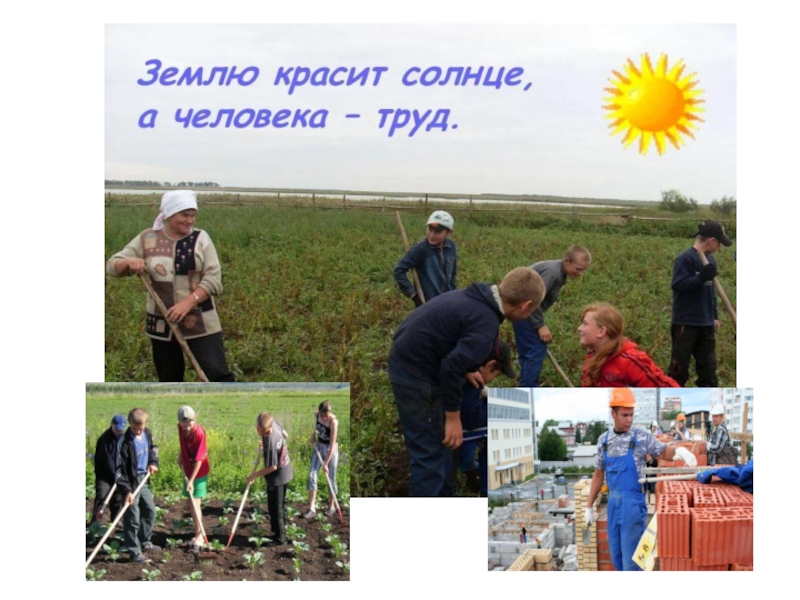 Презентация к уроку Право на труд