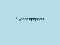 Презентация для классного часа Чудеса природы
