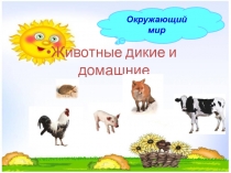 Презентация по окружающему миру на тему Дикие и домашние животные (1-ый класс)