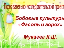 познавательно_исследовательский проект Бобовые культуры фасоль и горох