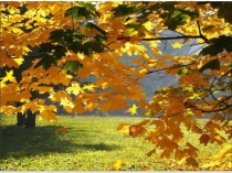 Презентация по русскому языку на тему Правила переноса (2 класс)