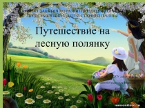 Презентация по РМП  Путешествие на лесную полянку