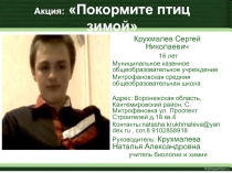 Презентация Покормите птиц зимой