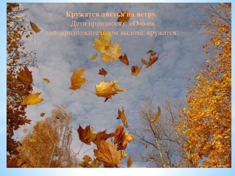 Презентация фонопедического упражнения Лес Кружатся листья на ветру. Дети произносят: «О-о-о» на продолжительном выдохе; кружатся. Кружатся листья на ветру. Дети произносят: «О-о-о» на продолжительном выдохе; кружатся.