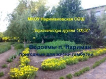 Водоемы, пригодные для жизни гамбузии