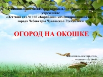 Презентация Огород на окошке Экологическое воспитание