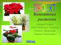 Презентация проекта обучающихся 4 класса  Комнатные растения