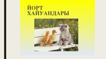 Презентация к уроку башкирского языка Йорт хайуандары, 2 класс