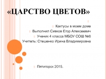 Презентация по окружающему миру Царство цветов - кактусы