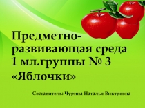 Презентация Предметно-развивающая среда группы