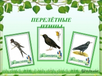 Презентация по развитию речи Перелётные птицы