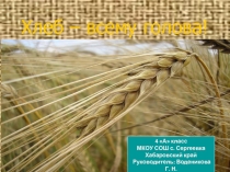 Презентация Хлеб - всему голова