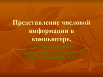 Представление числовой информации