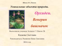 Уникальные объекты природы. Венерин башмачок