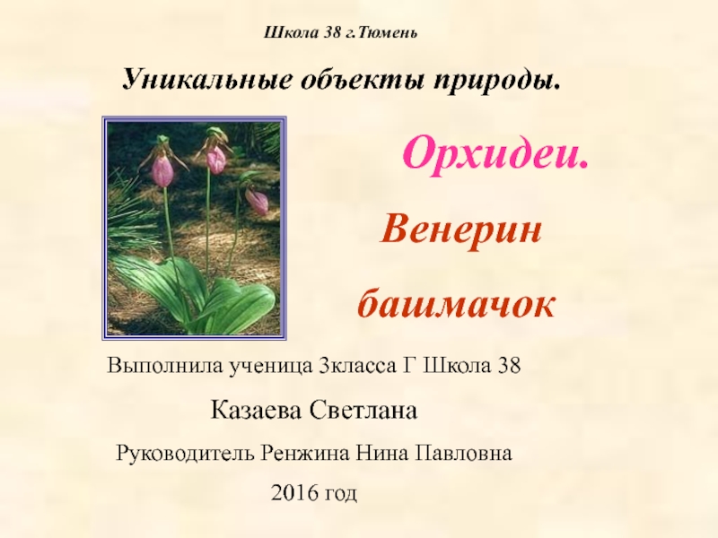 Презентация Уникальные объекты природы. Венерин башмачок