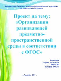 Проект на тему: Организация развивающей предметно-пространственной среды в соответствии с ФГОС