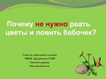 Презентация по окружающему миру Почему не будем рвать цветы и ловить бабочек
