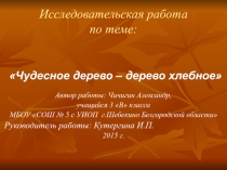 ЭОР по окружающему миру на тему Хлебное дерево
