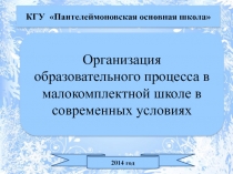 Организация образовательного процесса в малокомплектной школе в современных условиях