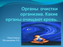 Презентация по теме Органы очистки организма. Почки
