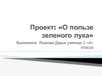 Презентация Защита проекта Зеленый лук