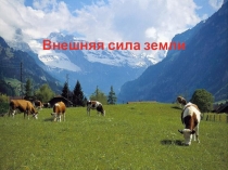 Внешние силы формирующие рельеф Земли