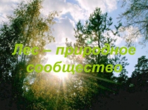 Презентация по окружающему миру на тему Жизнь леса. Лес - природное сообщество