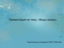 Виды синиц.