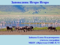 Презентация по географии на тему Заповедник Нгоронгоро (7 класс)