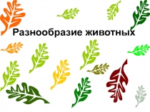 Презентация по окружающему миру на тему Разнообразие животных (2 класс)