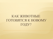Как животные готовятся к новому году