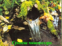 Татар әдәбиятыннан презентация Чишмәләр