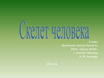 Презентация по биологии на тему Скелет человека (8 класс)