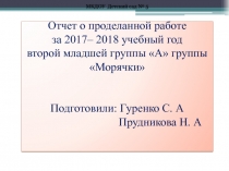 Годовой отчет о проделанной работе