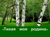Презентация по литературному чтению Тихая моя Родина